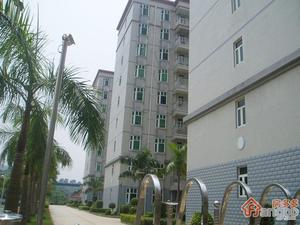 碧中园小区图片
