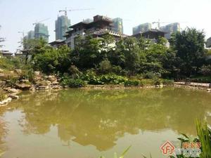 招商观园小区图片