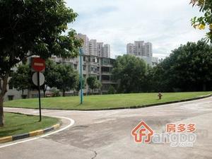 东组团小区图片