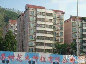 翠怡苑小区图片