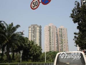 景园大厦（蛇口）小区图片