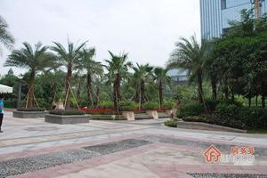 招商果岭花园小区图片