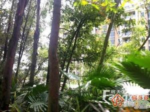南沙奥园小区图片