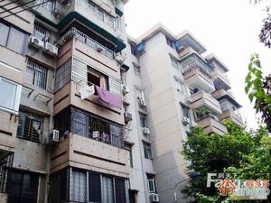 细岗东路小区小区图片