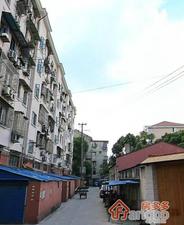 宾川路380弄小区图片