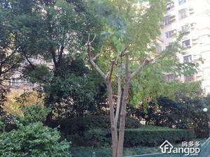 天钥花苑公寓小区图片