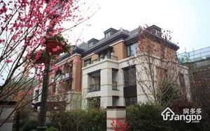 万科虹桥源墅小区图片