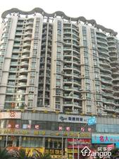 音乐广场小区图片