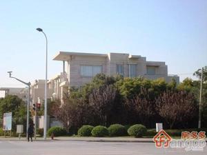张江汤臣豪园一期(别墅)小区图片