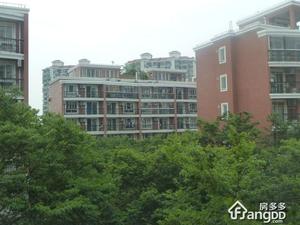 浦江花苑小区图片