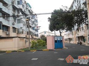 迎园新村十一坊小区图片
