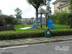 罗山绿洲别墅小区图片