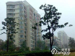 浦江世博家园十一街坊小区图片