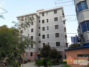 廊下新村小区图片