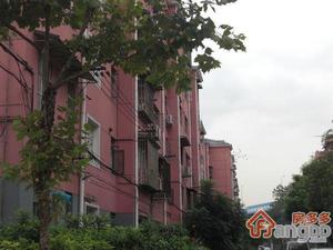 东泉佳苑小区图片