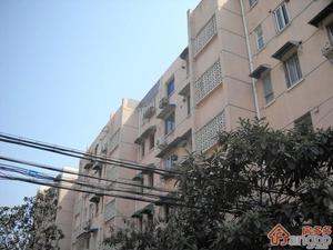 岭南路700弄小区图片