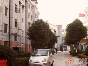 听潮四村小区图片