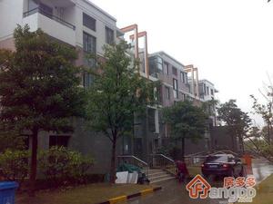 浦江世博家园六街坊小区图片