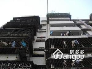 番禺仓边大街小区小区图片