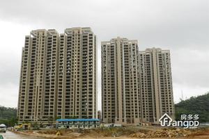 万泽云顶香蜜湖小区图片