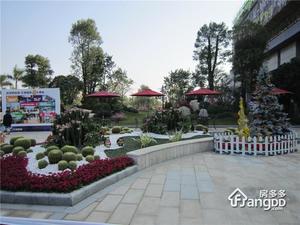 碧桂园空港国际小区图片