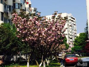 万科城市花园九区小区图片