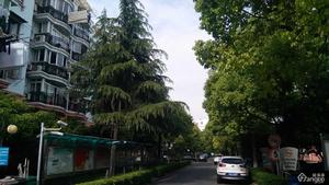 金泽苑小区图片