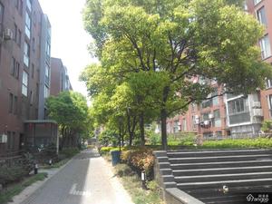天鹅泉公寓小区图片