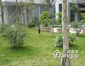 翔韵雅荟小区图片
