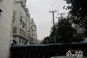 银杏小区小区图片