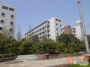 红豆香江豪庭小区图片