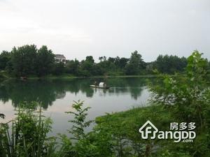 丁家桥小区图片