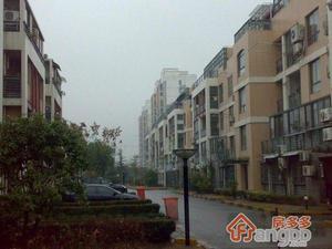 浦江世博家园五街坊小区图片