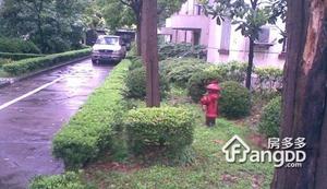 田林花苑小区图片