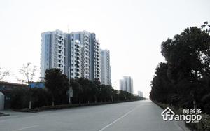 棕榈滩海景城小区图片