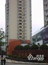 桐景花园小区图片