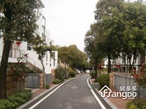 金山谷别墅小区图片