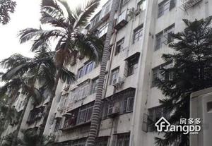 桑达新村小区图片
