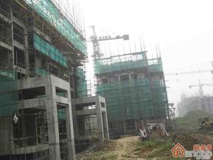 荣盛龙湖半岛小区图片