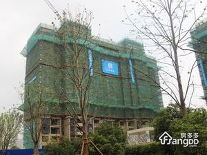 凯德莲公馆小区图片