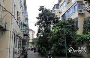 龙华路2373弄小区图片