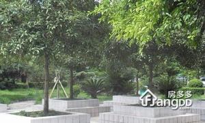 高攀西巷5号院小区图片