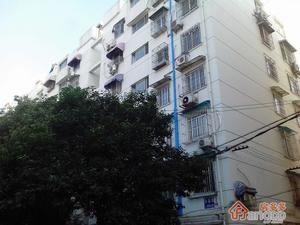 金鑫园小区图片
