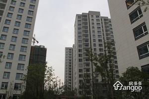 朗诗绿色街区小区图片
