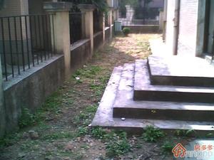 龙泉别墅小区图片