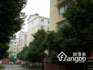 倪家苑小区图片