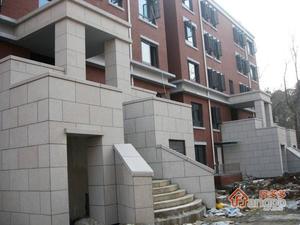 凤凰山庄小区图片