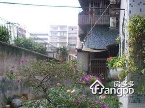 下渡路小区图片