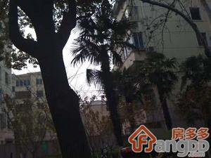 西门南村小区图片