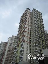 信和自由广场小区图片